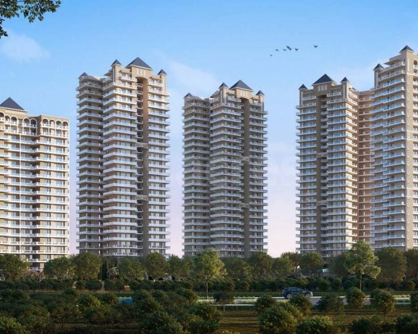 adore the select premia image 2